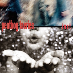 Cover of the Peatbog Faeries album Dust
