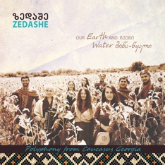 Cover of Zedashe's Our Earth and Water